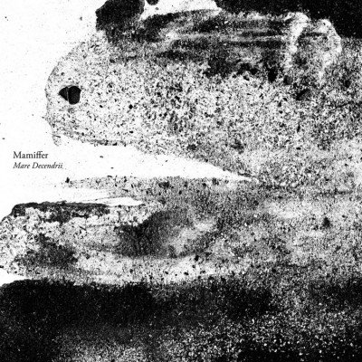 Mamiffer - Mare Decendrii Mamiffer - Mare Decendrii