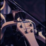 Giant Squid - band live at North Star venue in Philadelphia Giant Squid - band live at North Star venue in Philadelphia