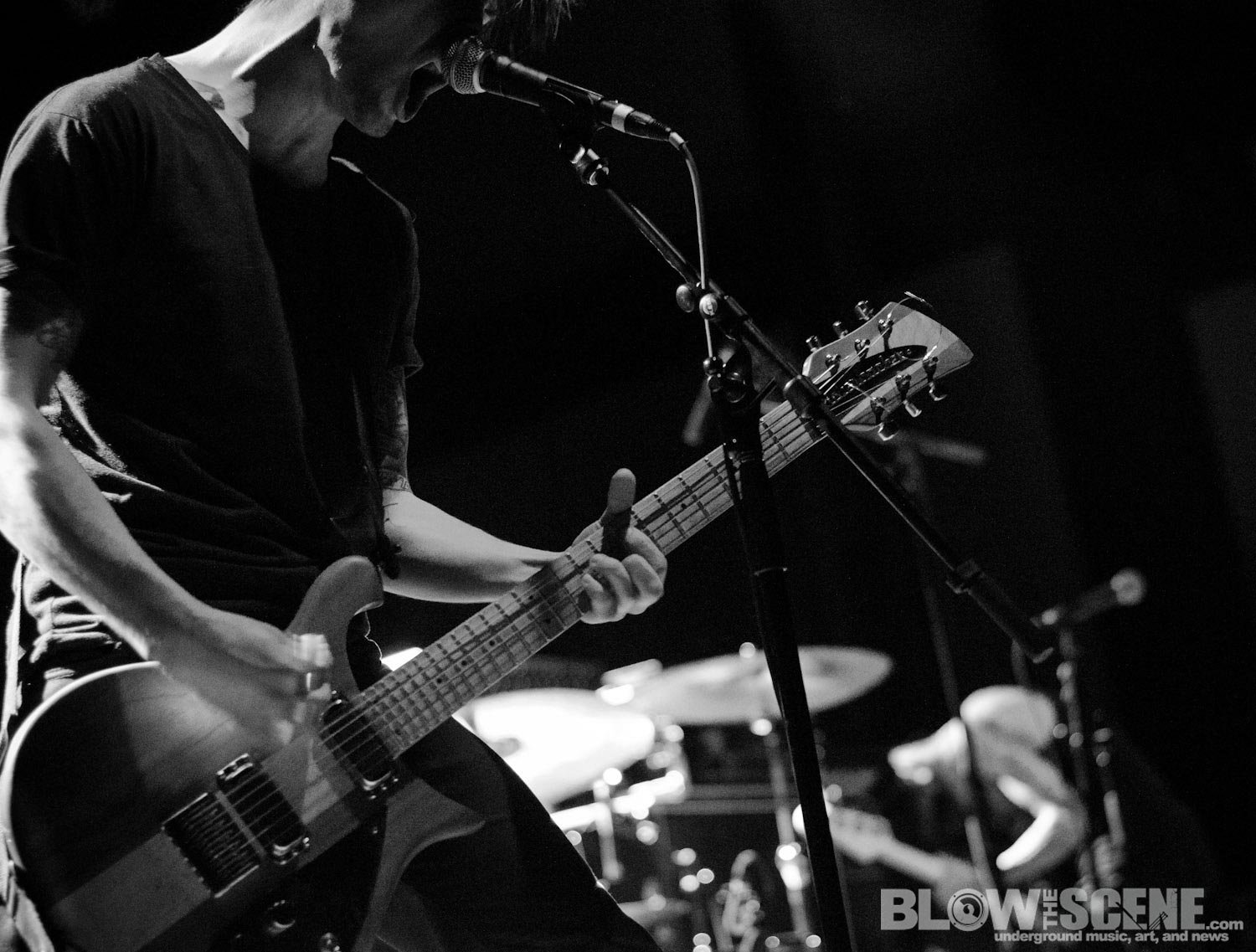 Birds In Row - band interview Birds In Row - band interview