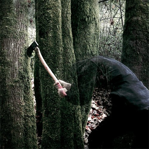 baptists bushcraft cover