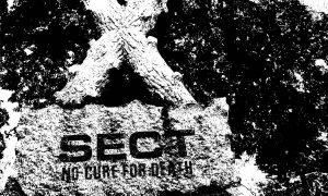 sect - no cure for death