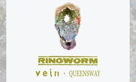 harms way, ringworm, vein tour 2018 poster